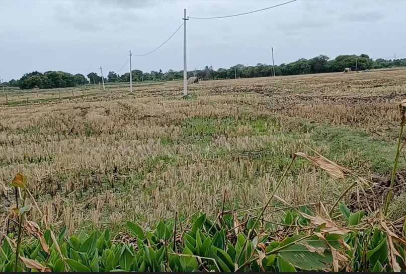 An image of land