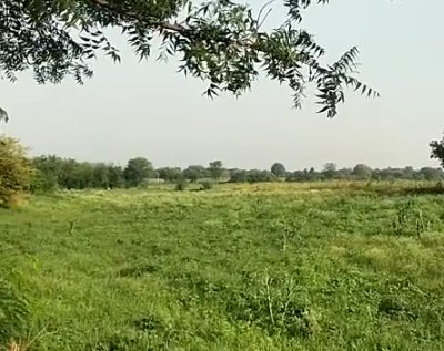 An image of land