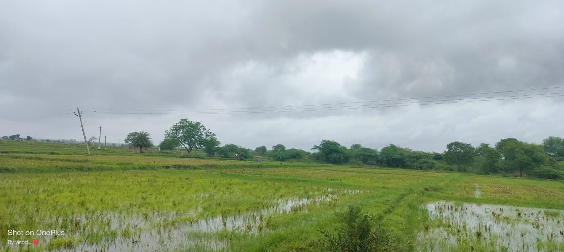 An image of land