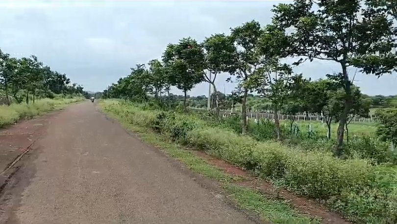 An image of land