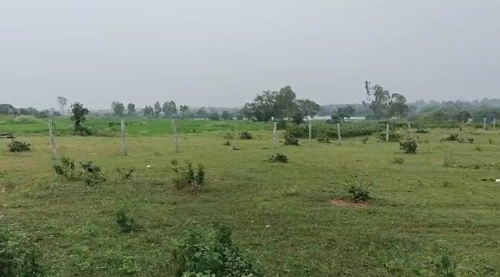 An image of land