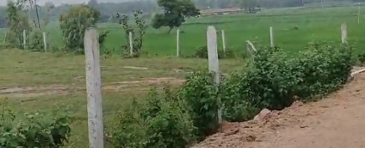 An image of land