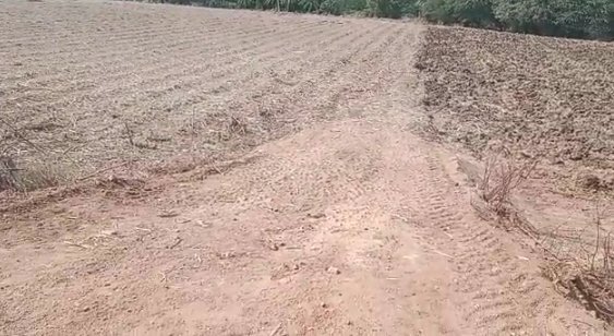 An image of land