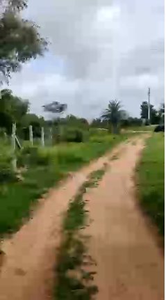 An image of land
