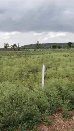 An image of land