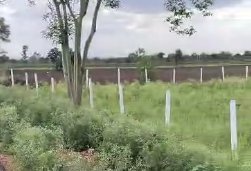 An image of land