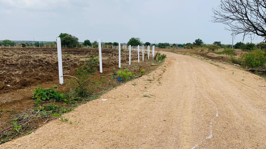 An image of land