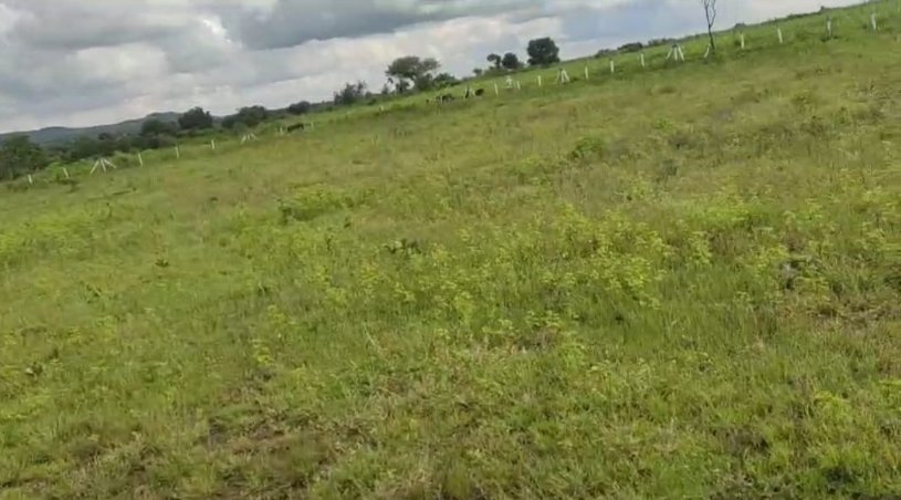 An image of land