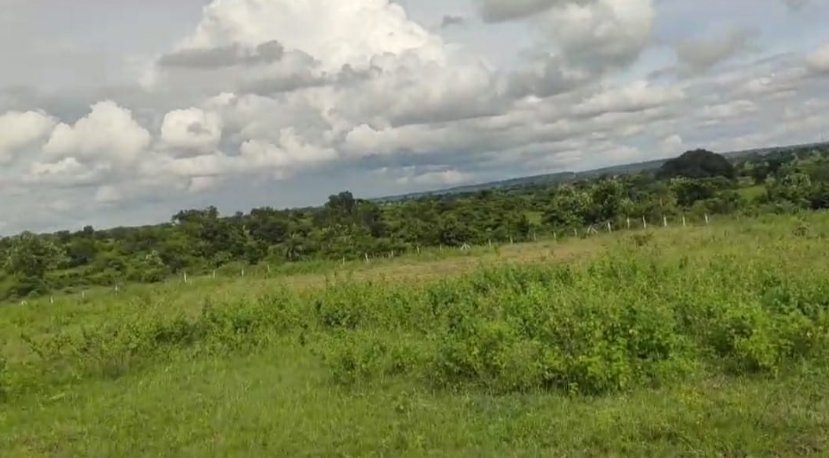 An image of land