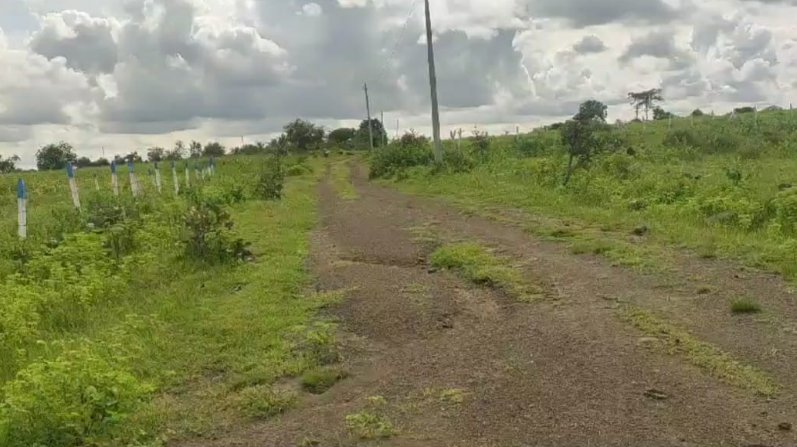 An image of land