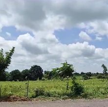 An image of land