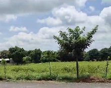 An image of land
