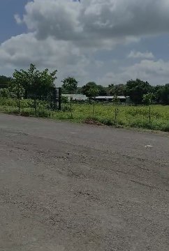 An image of land