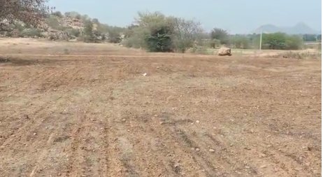 An image of land