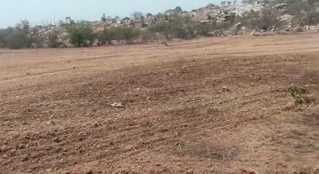 An image of land