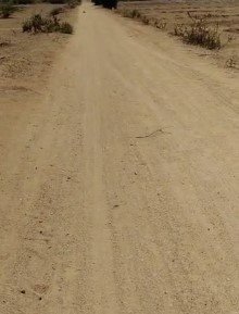 An image of land
