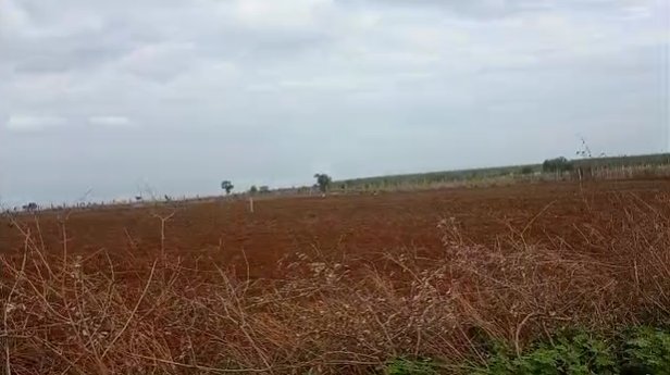 An image of land