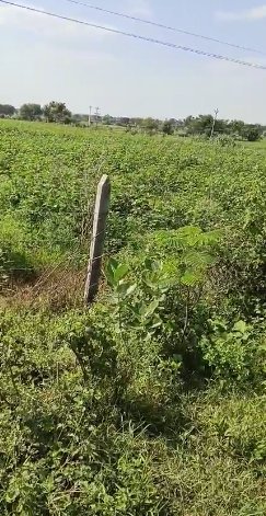 An image of land