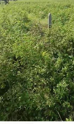 An image of land