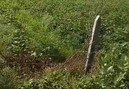 An image of land