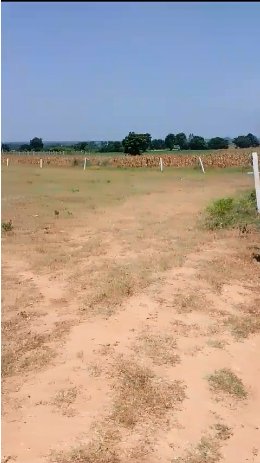 An image of land