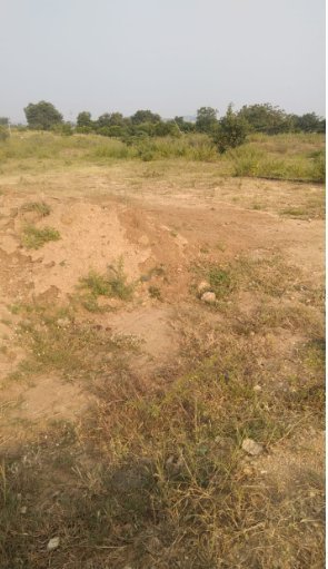An image of land