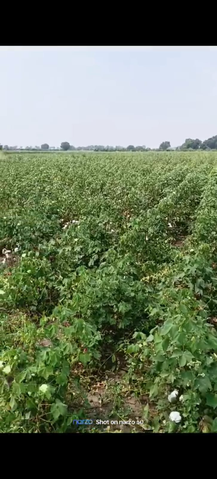 An image of land
