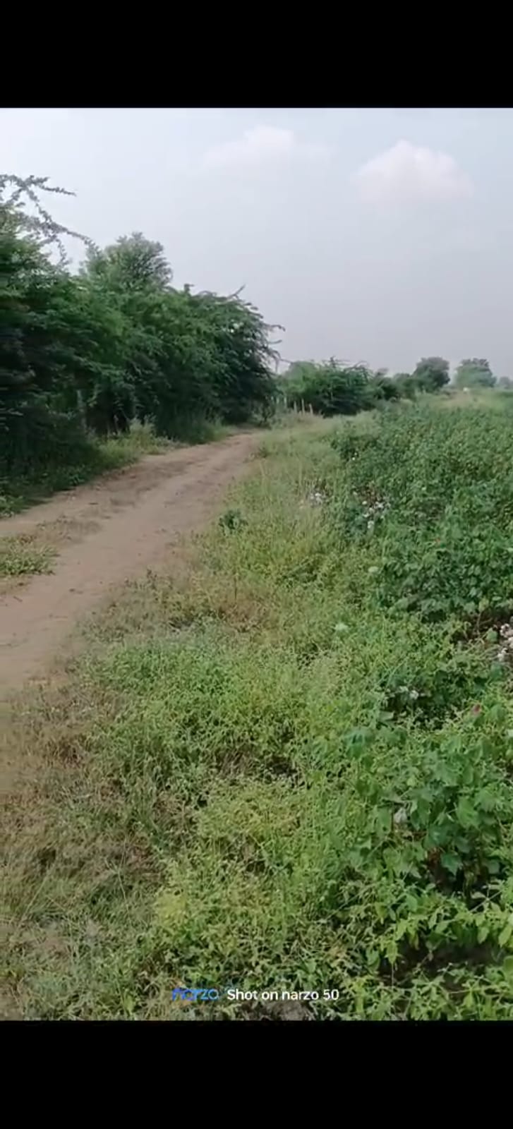 An image of land