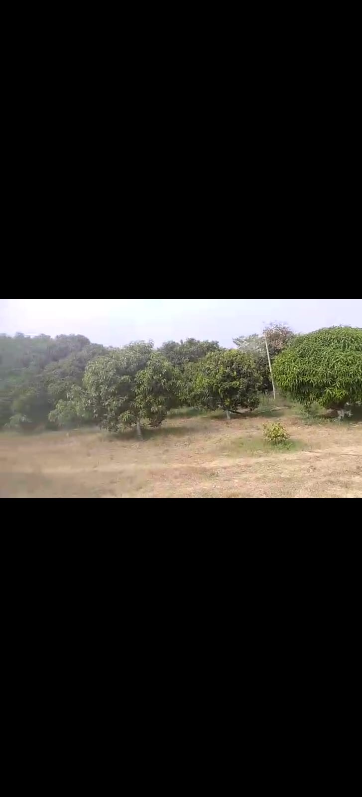 An image of land