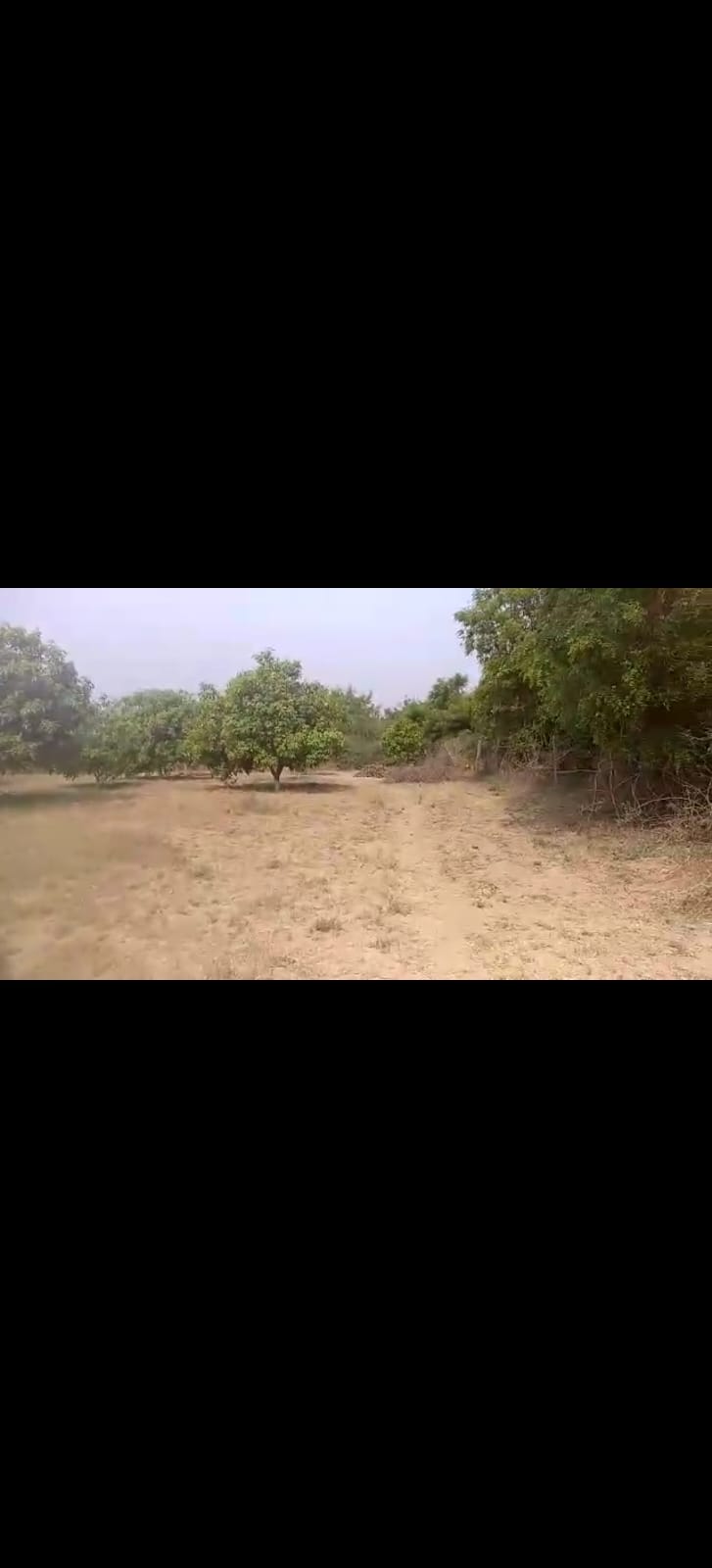 An image of land