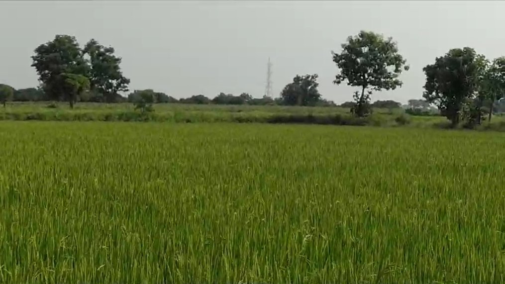An image of land