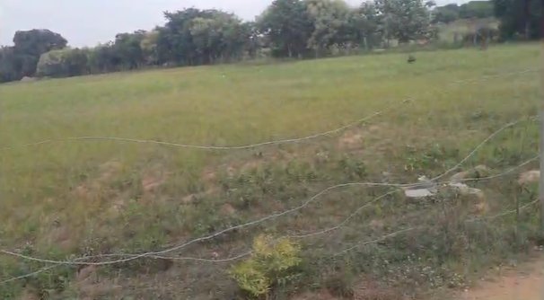 An image of land
