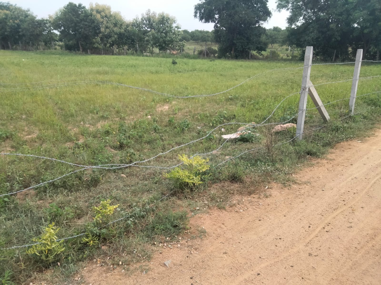 An image of land