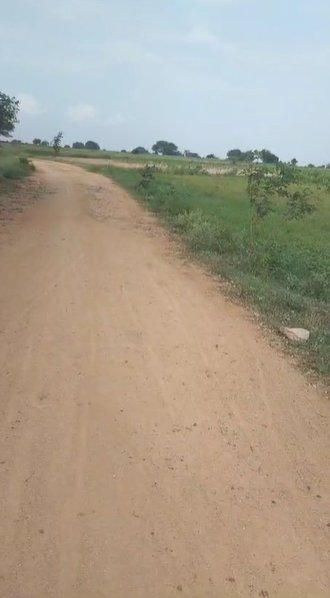 An image of land