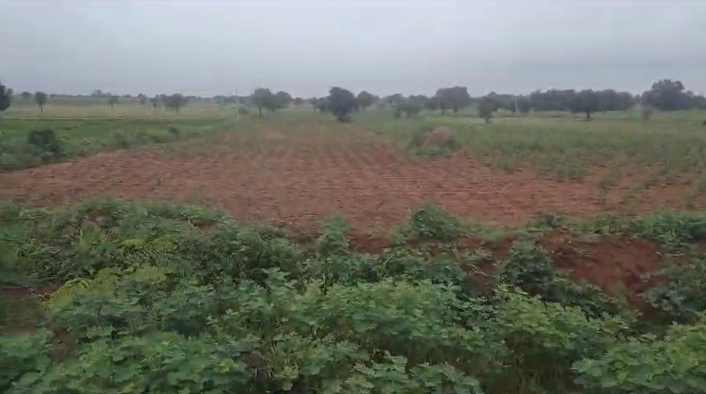 An image of land