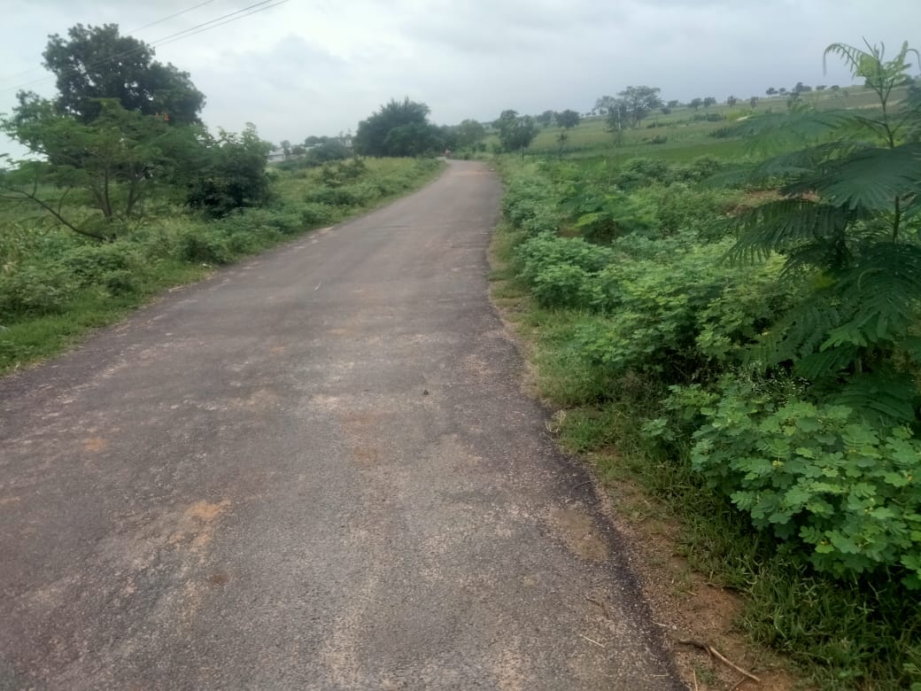 An image of land