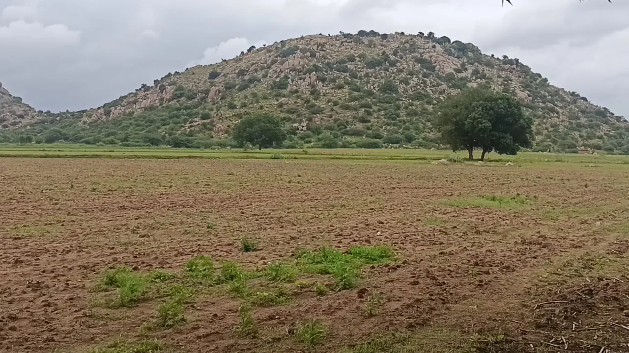 18 guntas Land in Kanduwada, Ranga Reddy - photo 1