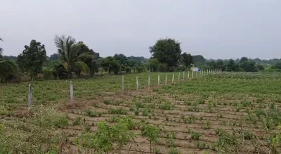 18 guntas Land in Kanduwada, Ranga Reddy - photo 2