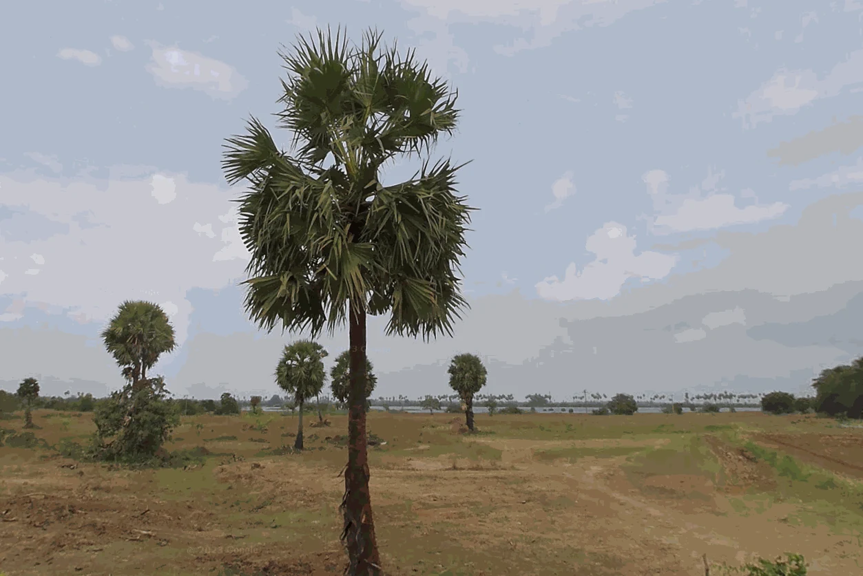 3 Acres Land in Puliyur, Chengalpattu - photo 1