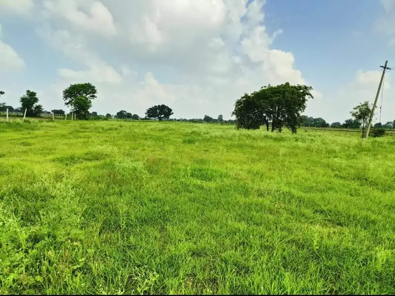 1 acre 20 guntas Land in Erravalle, Siddipet - photo 1
