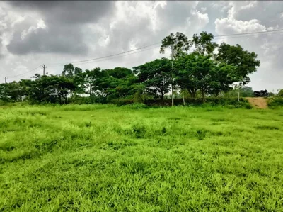 1 acre 20 guntas Land in Erravalle, Siddipet - photo 2