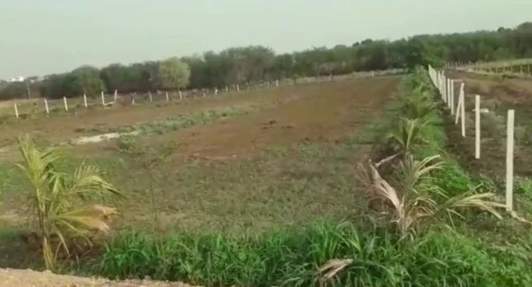 1 acre Land in Kesavaram, Ranga Reddy - photo 1