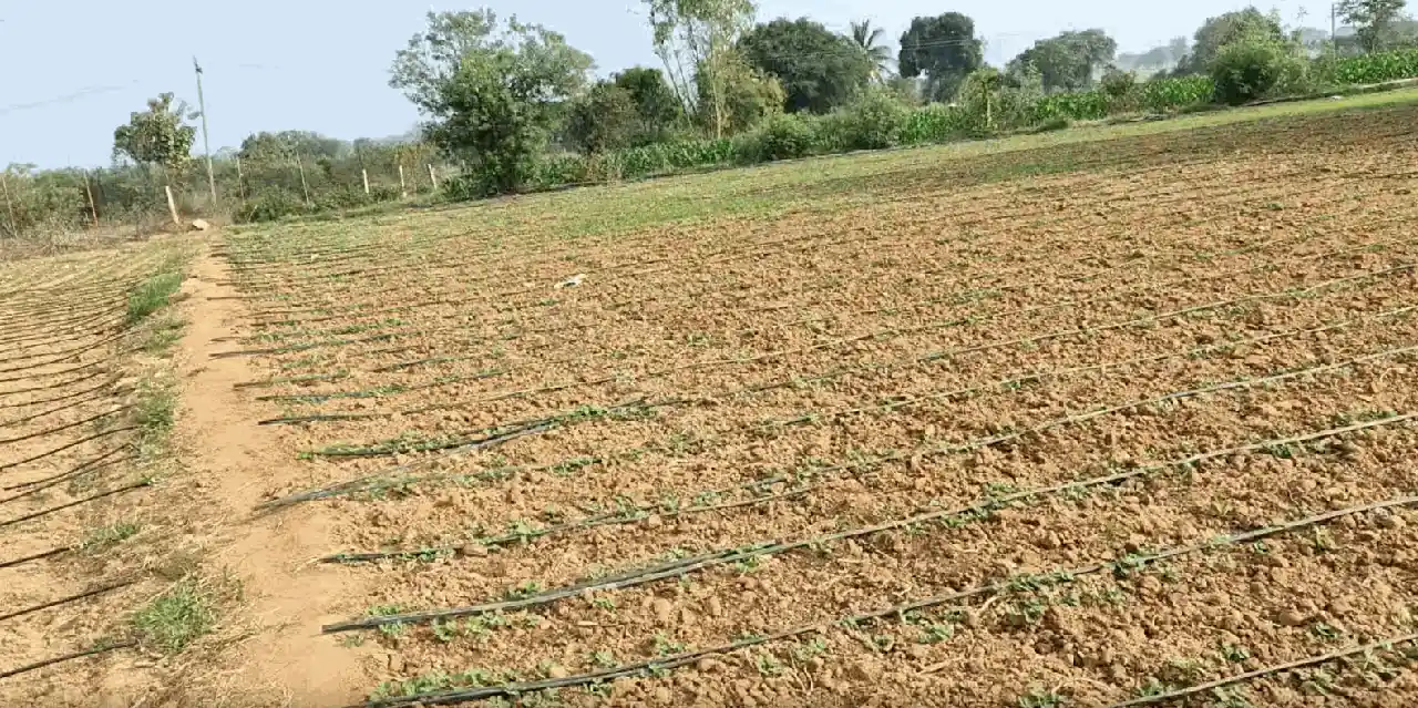 1 acre Land in Chandapur, Siddipet - photo 1