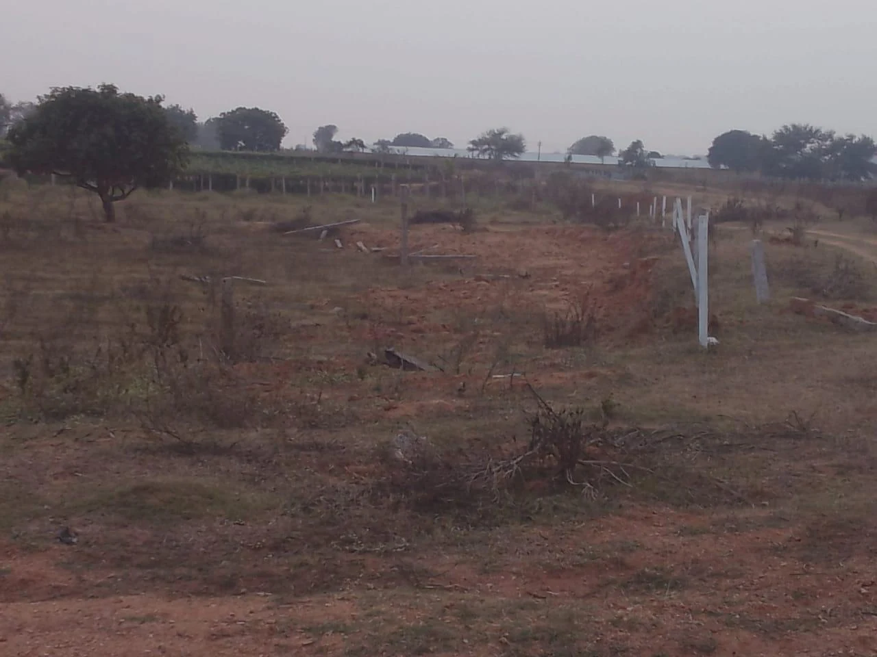 4 acres 20 guntas Land in Aliabad @ Adivimasjid, Siddipet - photo 1