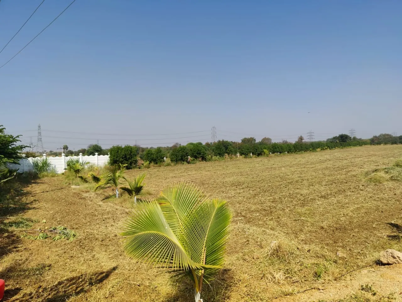 3 acres 15 guntas Land in Bastepur, Ranga Reddy - photo 1