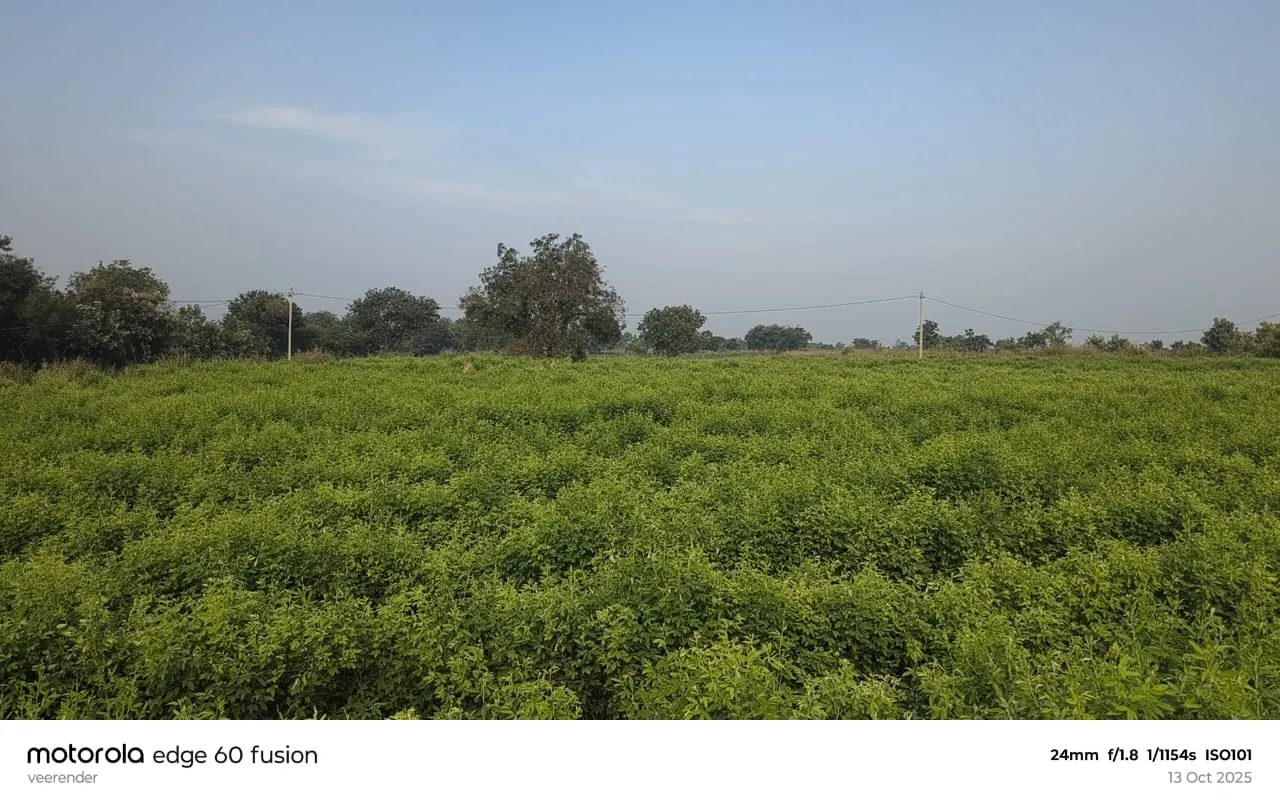 4 acres Land in Gotlapalle, Vikarabad - photo 1