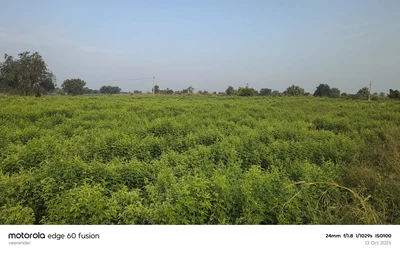 4 acres Land in Gotlapalle, Vikarabad - photo 2