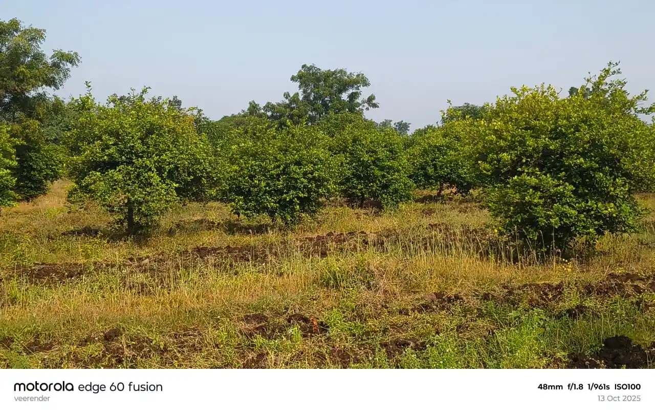 4 acres Land in Gotlapalle, Vikarabad - photo 1