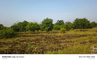 4 acres Land in Gotlapalle, Vikarabad - photo 3