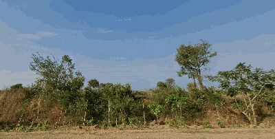 1 acre Land in Metlakunta, Vikarabad - photo 2